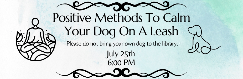 Positive Methods to Calm your Dog on a Leash