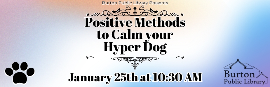 Positive Methods to Calm your Hyper Dog